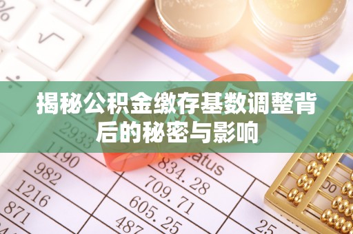 鹤城揭秘公积金缴存基数调整背后的秘密与影响