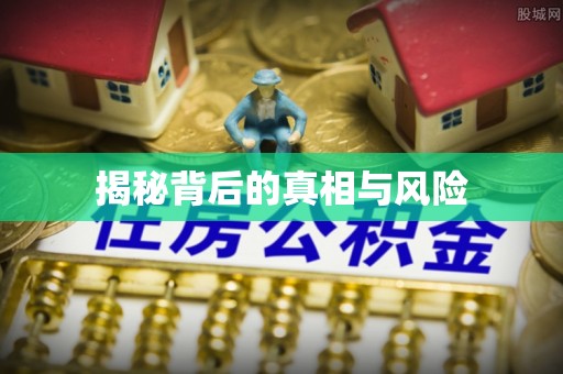 鹤城揭秘背后的真相与风险