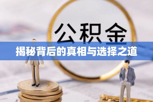 鹤城揭秘背后的真相与选择之道