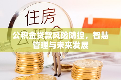鹤城公积金贷款风险防控，智慧管理与未来发展