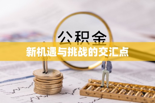 鹤城新机遇与挑战的交汇点