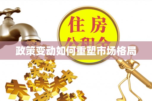 鹤城政策变动如何重塑市场格局