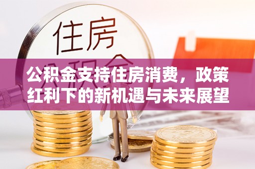 鹤城公积金支持住房消费，政策红利下的新机遇与未来展望