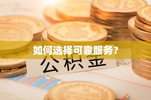 鹤城如何选择可靠服务？
