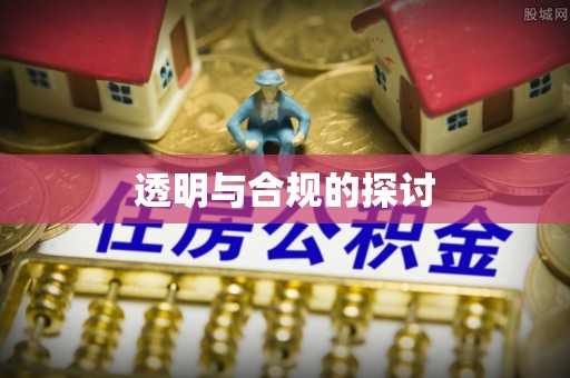鹤城透明与合规的探讨
