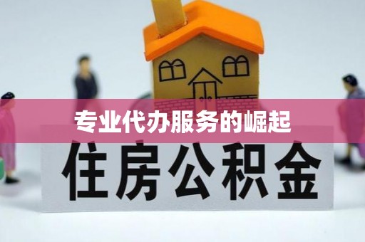 鹤城专业代办服务的崛起
