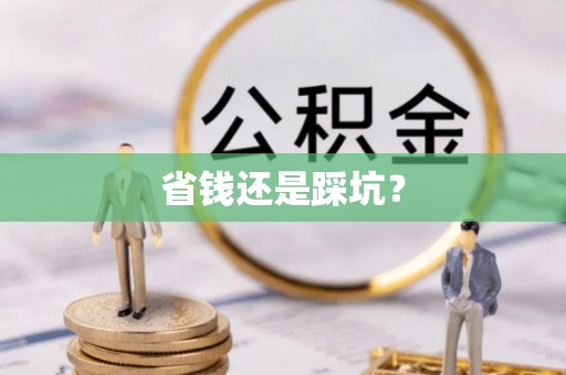 鹤城省钱还是踩坑？