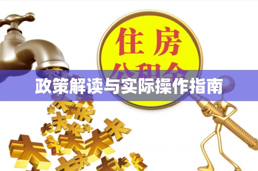 鹤城政策解读与实际操作指南