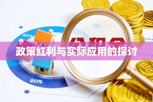 鹤城政策红利与实际应用的探讨