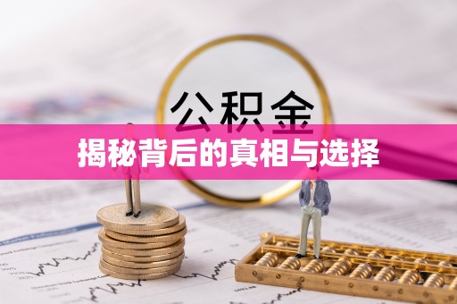 鹤城揭秘背后的真相与选择