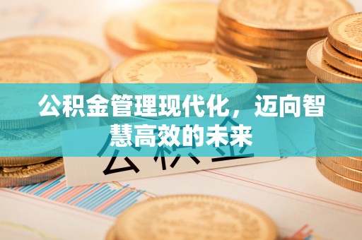 鹤城公积金管理现代化，迈向智慧高效的未来