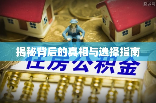 鹤城揭秘背后的真相与选择指南