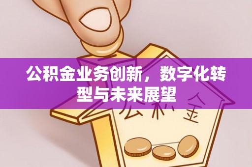 鹤城公积金业务创新，数字化转型与未来展望