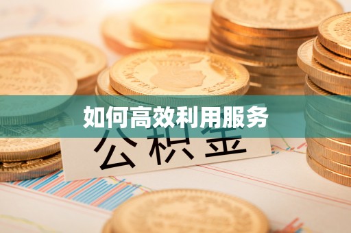鹤城如何高效利用服务