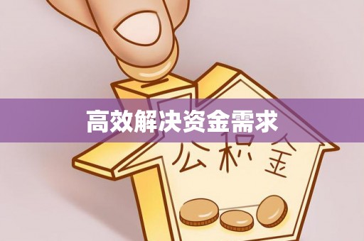 鹤城高效解决资金需求