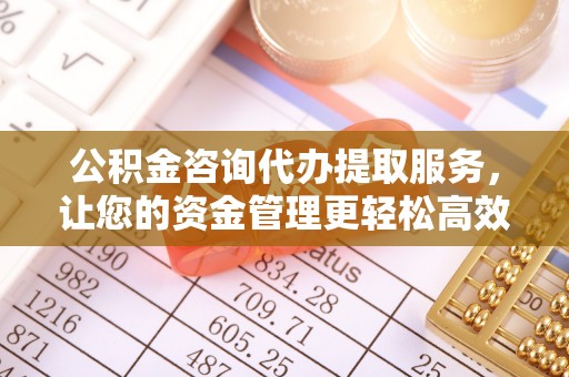 鹤城公积金咨询代办提取服务，让您的资金管理更轻松高效