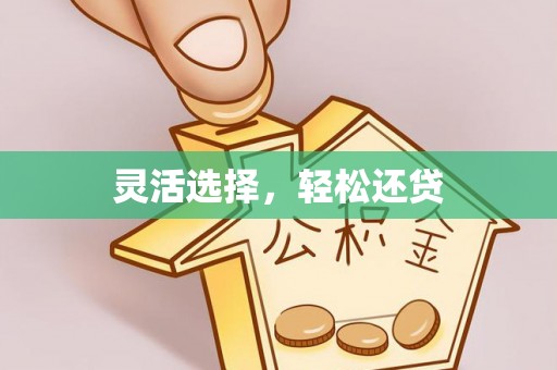 鹤城灵活选择，轻松还贷