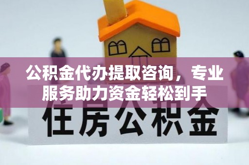 鹤城公积金代办提取咨询，专业服务助力资金轻松到手