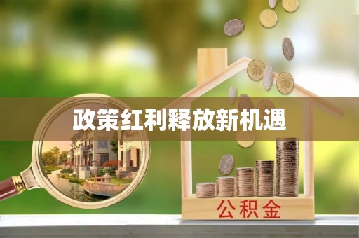 鹤城政策红利释放新机遇