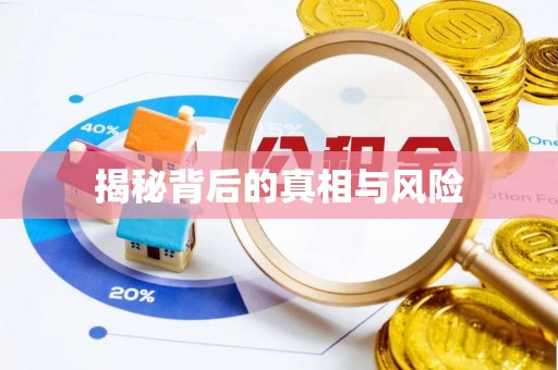 鹤城揭秘背后的真相与风险