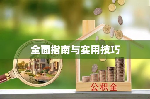 鹤城全面指南与实用技巧