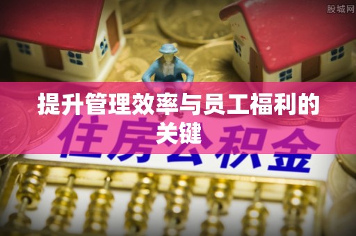 鹤城提升管理效率与员工福利的关键