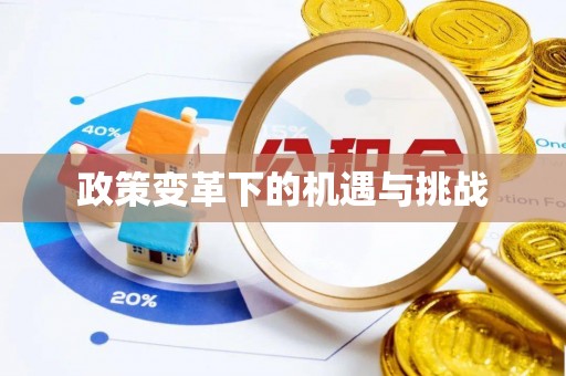 鹤城政策变革下的机遇与挑战