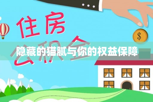鹤城隐藏的猫腻与你的权益保障
