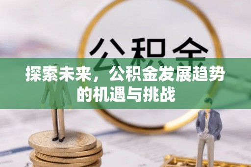 鹤城探索未来，公积金发展趋势的机遇与挑战