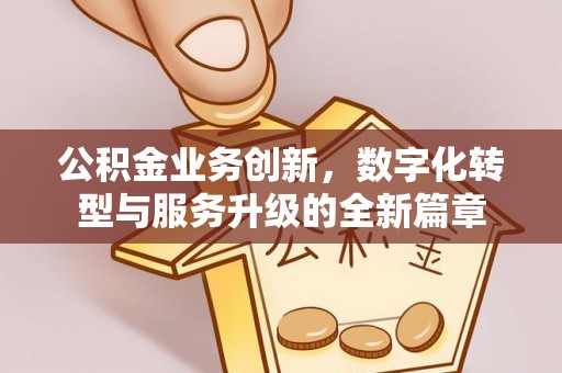 鹤城公积金业务创新，数字化转型与服务升级的全新篇章