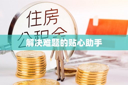 鹤城解决难题的贴心助手