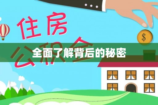 鹤城全面了解背后的秘密