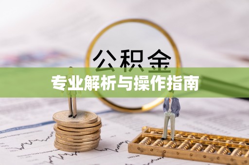 鹤城专业解析与操作指南