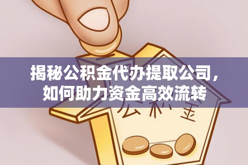 鹤城揭秘公积金代办提取公司，如何助力资金高效流转