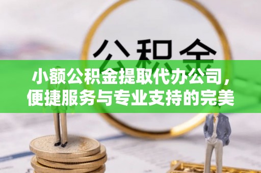 鹤城小额公积金提取代办公司，便捷服务与专业支持的完美结合