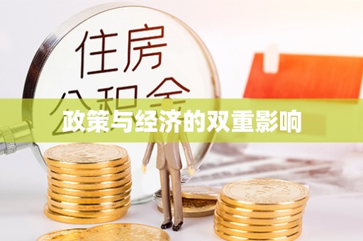 鹤城政策与经济的双重影响