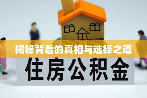 鹤城揭秘背后的真相与选择之道