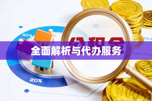 鹤城全面解析与代办服务