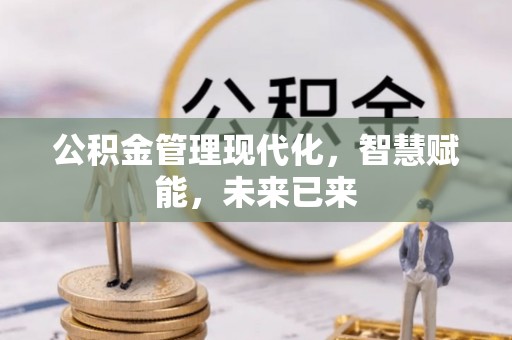 鹤城公积金管理现代化，智慧赋能，未来已来