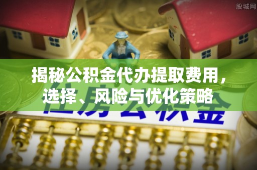 鹤城揭秘公积金代办提取费用，选择、风险与优化策略