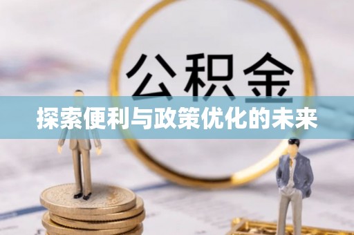鹤城探索便利与政策优化的未来