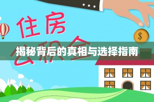 鹤城揭秘背后的真相与选择指南
