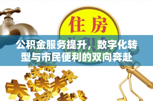 鹤城公积金服务提升，数字化转型与市民便利的双向奔赴