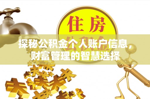 鹤城探秘公积金个人账户信息，财富管理的智慧选择