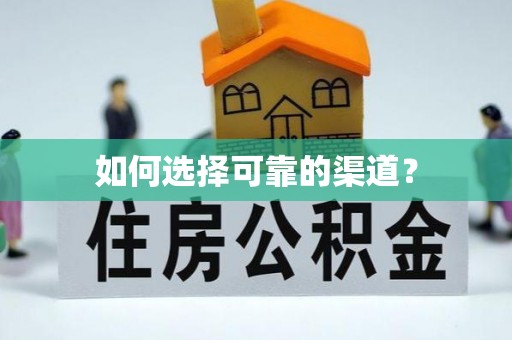鹤城如何选择可靠的渠道？