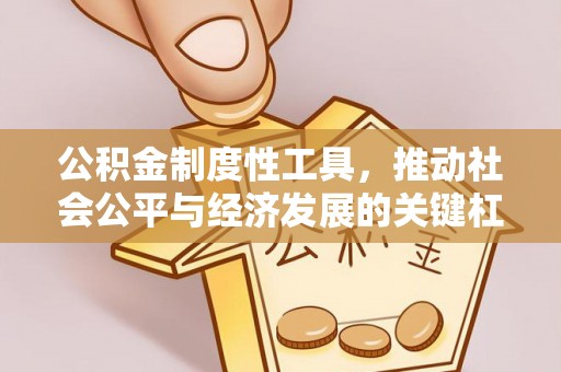 鹤城公积金制度性工具，推动社会公平与经济发展的关键杠杆