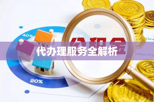 鹤城代办理服务全解析