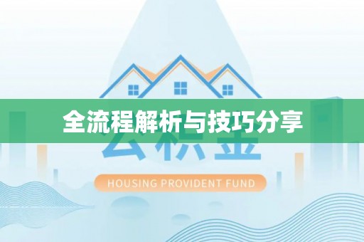 鹤城全流程解析与技巧分享
