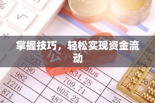 鹤城掌握技巧，轻松实现资金流动