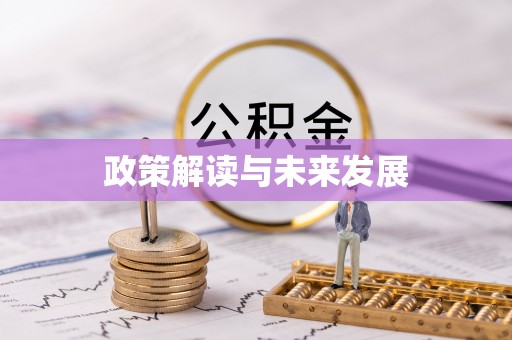 鹤城政策解读与未来发展